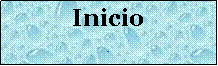 Cuadro de texto: Inicio##